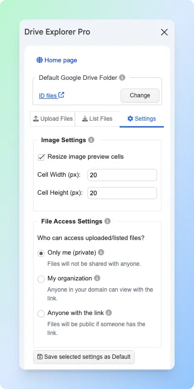 Settings tab inside Drive Explorer Pro showing configuration options